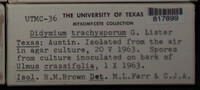 Image Associated With the Occurence